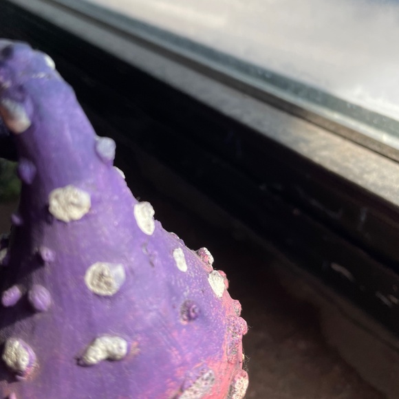 Garden mushroom - Picture 4 of 4